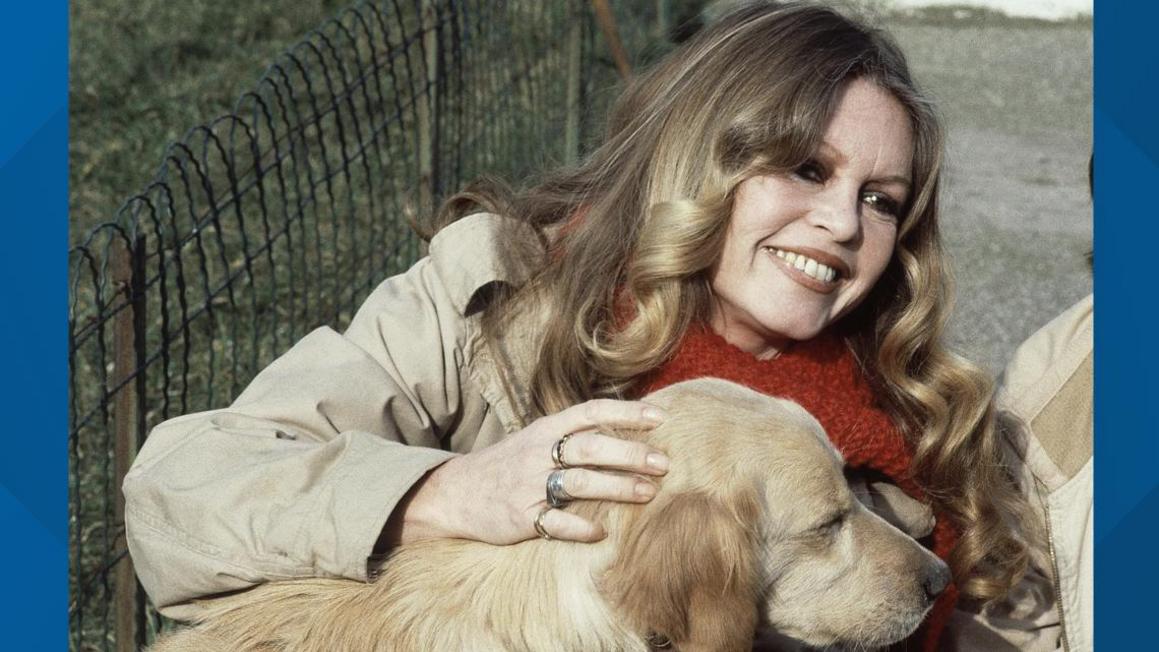 e9922177 519e 4a4c 9b20