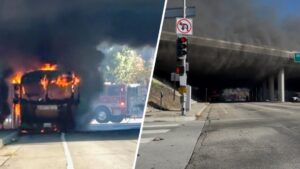 Xe buýt trường học điện bốc cháy dưới cầu vượt ở Los Angeles 10 Xe buýt trường học điện bốc cháy dưới cầu vượt ở Los Angeles