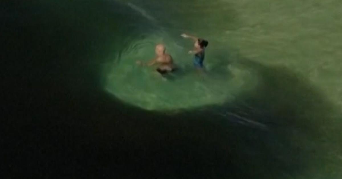 f vert brk anchovies rio 251228.00 01 06 09.Still002 225pby