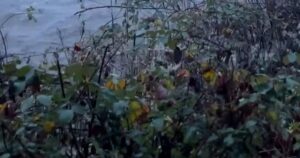 Nước cuốn trôi nhà của một cặp vợ chồng ở Washington 33 Nước cuốn trôi nhà của một cặp vợ chồng ở Washington