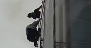 Hàng chục người thoát khỏi đám cháy ở Indonesia bằng thang 4 Hàng chục người thoát khỏi đám cháy ở Indonesia bằng thang