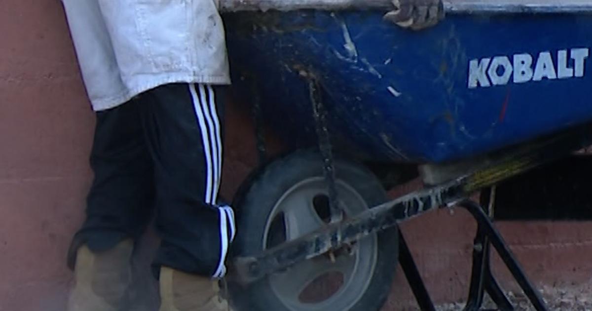 Paramount Mở Đầu Cuộc Chào Mua Thù Địch Warner Bros. Discovery 1 f vert brk kskd petclinic smash 251207.00 00 42 07.Still002 zf3btu