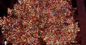 Cây thông Noel tại Trung tâm Rockefeller đã được thắp sáng 9 Cây thông Noel tại Trung tâm Rockefeller đã được thắp sáng