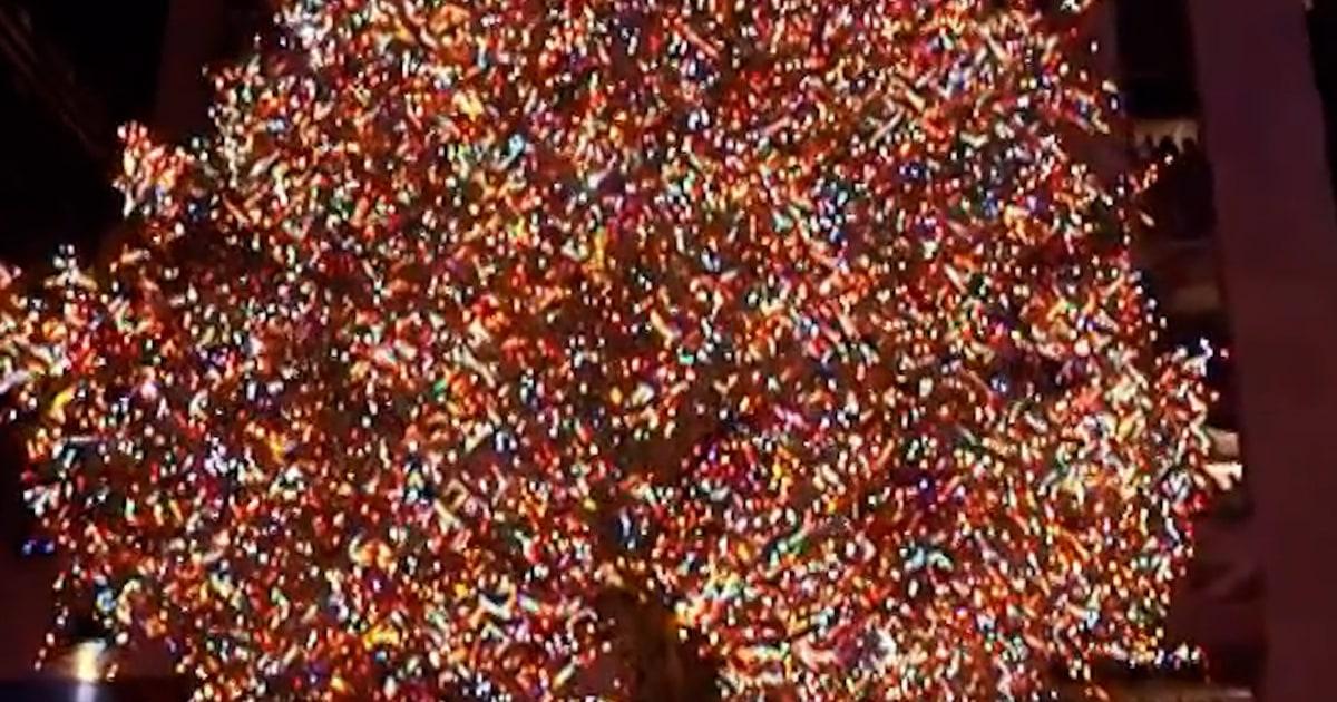 f vert brk la tree lighting 251203 6fp3om