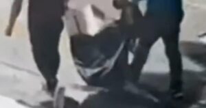 Tám bức tranh Henri Matisse bị đánh cắp ở Brazil 21 Tám bức tranh Henri Matisse bị đánh cắp ở Brazil