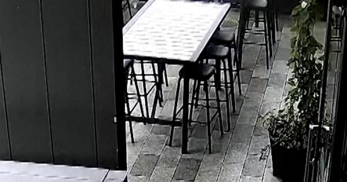 Hải cẩu con 'đi lạc' vào quán bar ở New Zealand 1 f vert brk nz baby seal 251204.00 00 51 08.Still002 ga2w4v