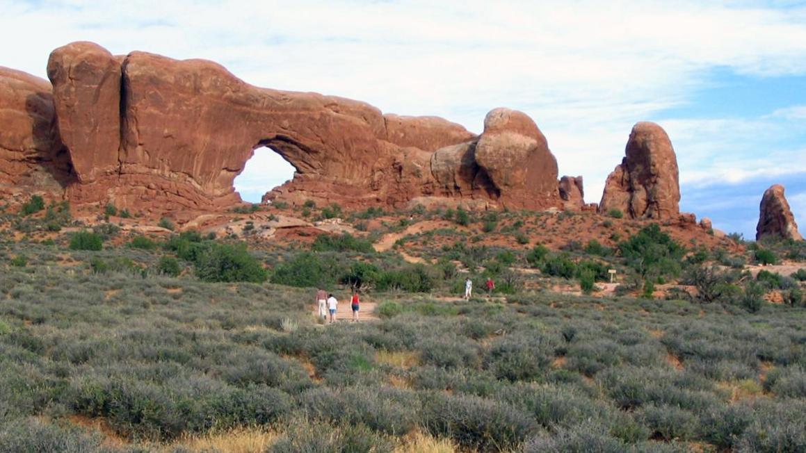 ff987f55 92fc 45d0 96e4