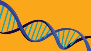AncestryDNA: Bộ xét nghiệm DNA gia đình tốt nhất năm 2025