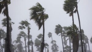 Gió Santa Ana thổi vào Nam California trước khi mưa ập đến