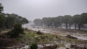 Texas Tăng Phí Cấp Phép Trại Hè Sau Lũ Lụt Chết Người 33 Texas Tăng Phí Cấp Phép Trại Hè Sau Lũ Lụt Chết Người