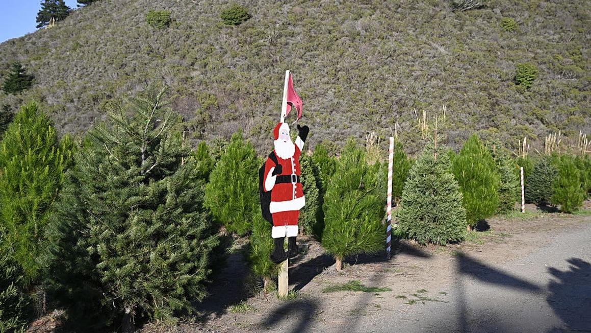 gettyimages 2249833898