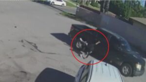 Người bán hàng rong ở Rialto bị xe tuần tra biên giới đụng phải, DHS lên tiếng 14 Người bán hàng rong ở Rialto bị xe tuần tra biên giới đụng phải, DHS lên tiếng