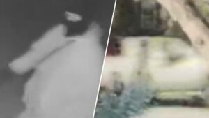 Cảnh sát truy nã nghi phạm trộm đồng hồ trị giá 20.000 USD tại Pennsylvania