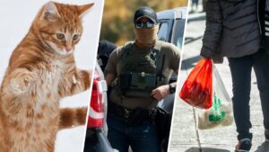 California: Luật mới năm 2026 và những thay đổi quan trọng