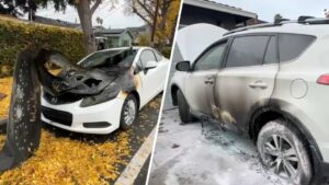 Xe bị đốt tại khu Willow Glen, San Jose 15 Xe bị đốt tại khu Willow Glen, San Jose