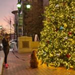 Hướng dẫn ngắn về Hạ chí Đông 53 Hướng dẫn ngắn về Hạ chí Đông