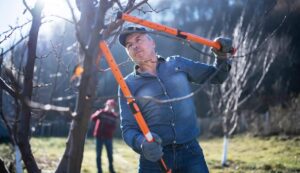 Những dụng cụ làm vườn cần thiết trong mùa đông