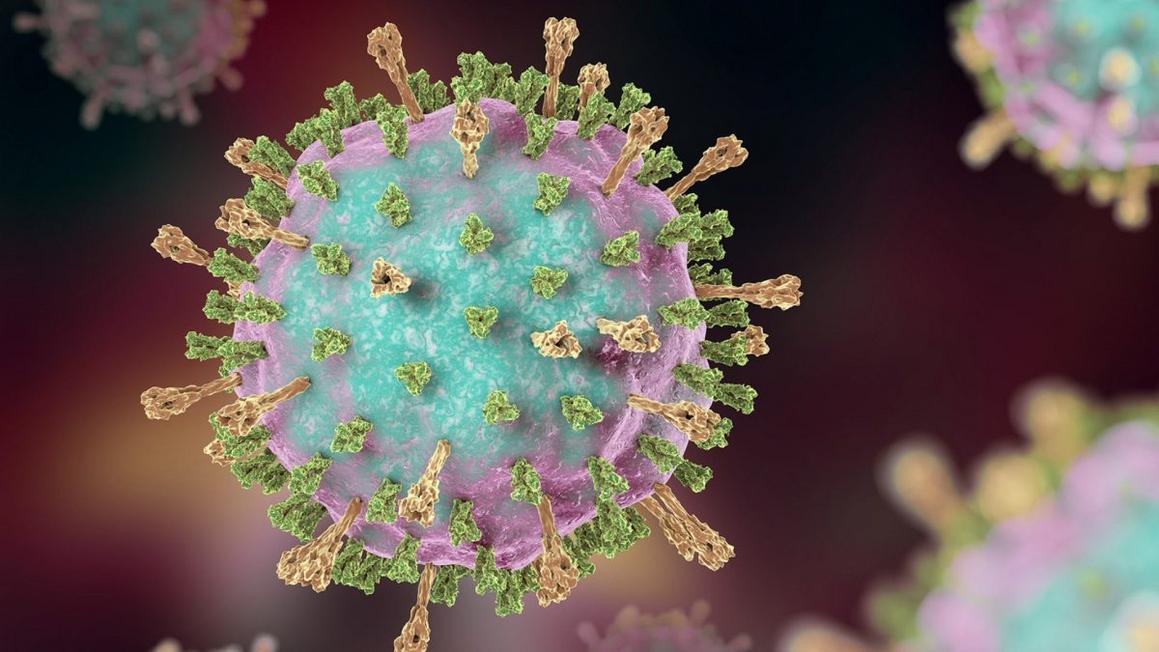 Xác nhận ca sởi tại Hạt Contra Costa 1 measles virus e1767042677726