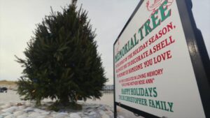 Cây thông Noel trên bãi biển Jersey Shore mang lại sự an ủi 32 Cây thông Noel trên bãi biển Jersey Shore mang lại sự an ủi