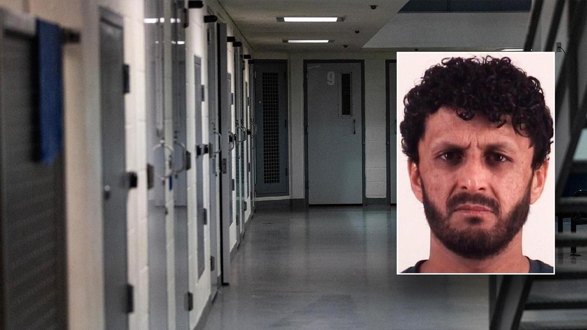 mohammad dawood alokozay