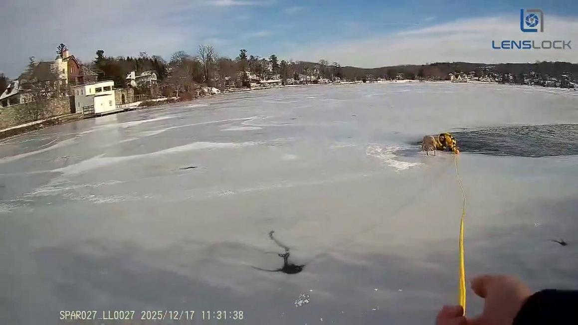 new jersey police officer rescues dog trapped on frozen lake