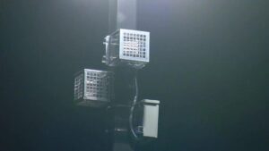 Home Depot Bị Tố Dùng Máy Tạo Tiếng Ồn Đuổi Lao Động