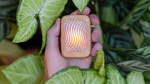 12 Món Quà Công Nghệ Tuyệt Vời Cho Người Yêu Cây Cảnh 6 12 Món Quà Công Nghệ Tuyệt Vời Cho Người Yêu Cây Cảnh