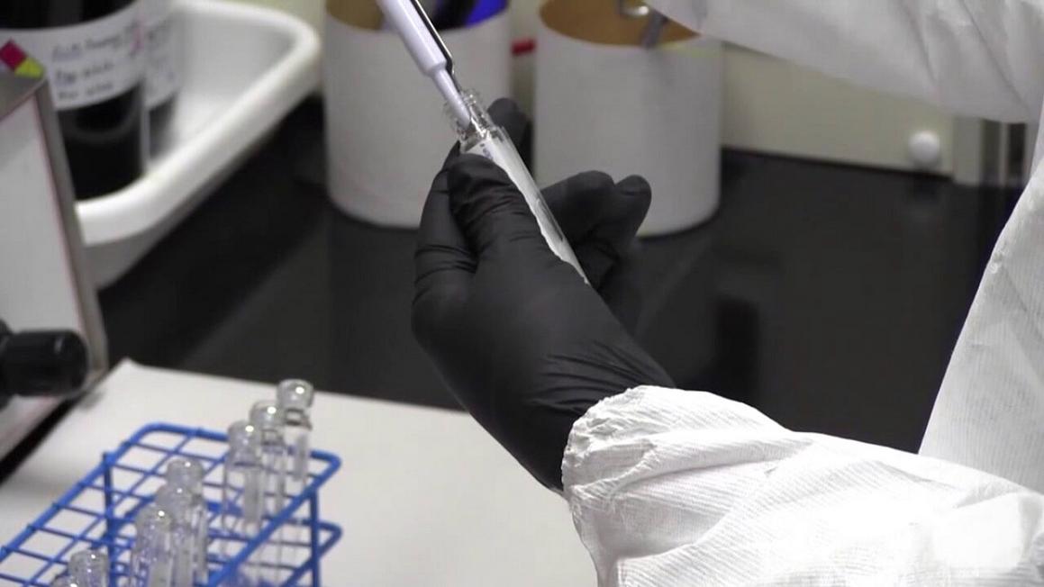 Texas cho phép nạn nhân bị tấn công tình dục xét nghiệm ADN mà không báo cảnh sát 1 rape test kit