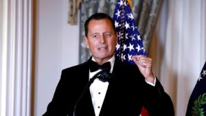 Thẩm phán Mỹ ra lệnh bắt giữ kẻ đe dọa giết ông Richard Grenell 13 Thẩm phán Mỹ ra lệnh bắt giữ kẻ đe dọa giết ông Richard Grenell