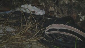 Cư dân Trinity Gardens và Fifth Ward phản đối việc DOJ ngừng giám sát đổ rác bất hợp pháp 16 Cư dân Trinity Gardens và Fifth Ward phản đối việc DOJ ngừng giám sát đổ rác bất hợp pháp