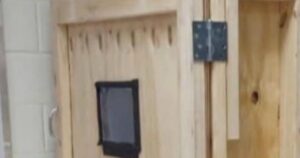 Trường học tại New York bị chỉ trích vì cáo buộc dùng ‘hộp phạt’ với học sinh