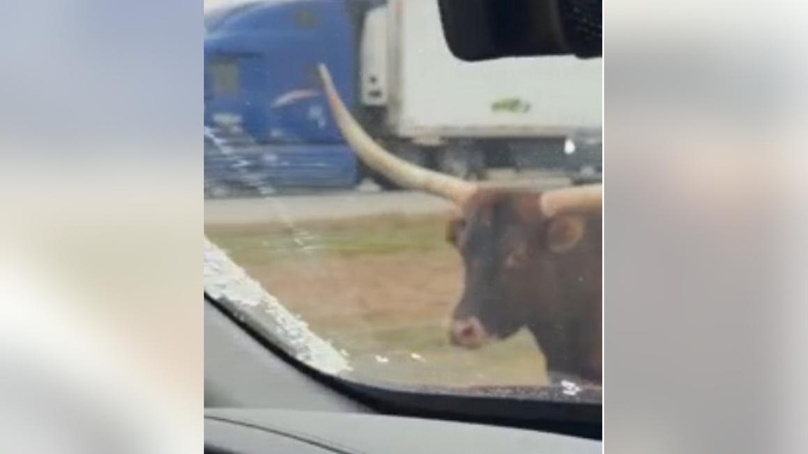 screenshot 2025 12 02 102620