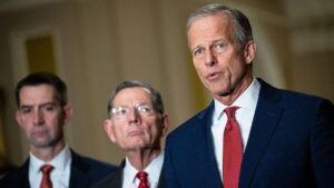 Thỏa thuận lưỡng đảng về trợ cấp Obamacare lung lay khi Đảng Cộng hòa thúc đẩy kế hoạch HSA