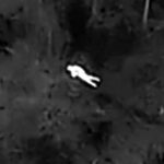 Máy bay không người lái dùng camera nhiệt giúp tìm người lớn tuổi lạc trong rừng