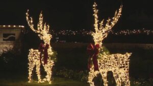 Trộm Giáng Sinh: Kẻ gian lấy cắp hai quả cầu khổng lồ nặng 100 pound ở Pearland