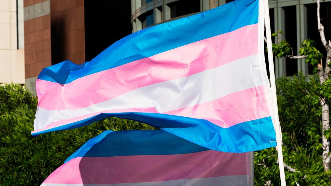 Texas: Bác Sĩ Bị Tố Cáo Gian Lận Y Tế Trong Vụ Chăm Sóc Chuyển Giới 1 trans flag