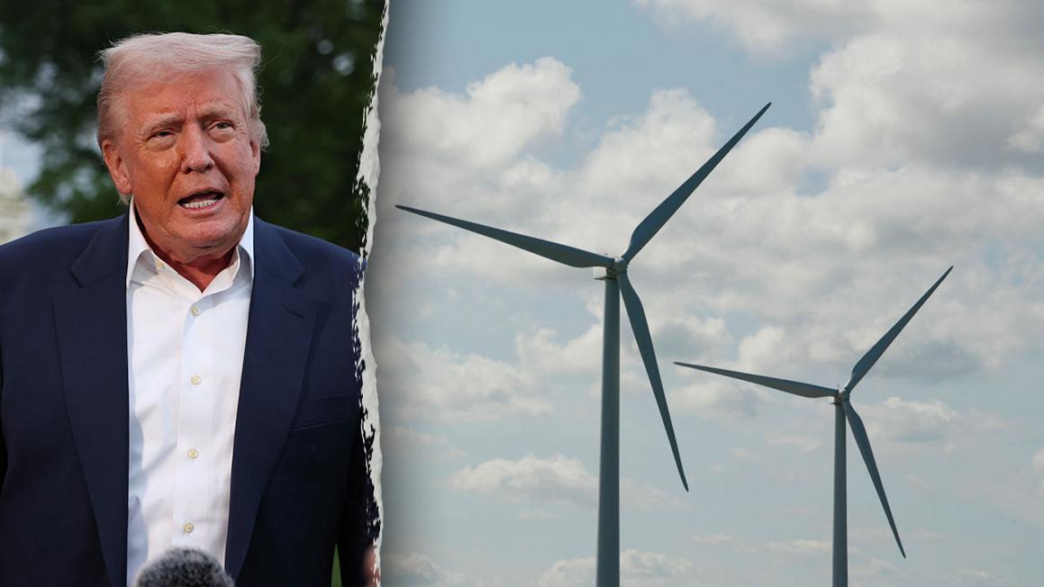 trump wind