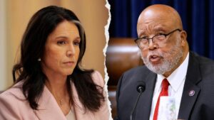 Tulsi Gabbard chỉ trích Bennie Thompson vì vụ nổ súng Vệ binh Quốc gia 28 Tulsi Gabbard chỉ trích Bennie Thompson vì vụ nổ súng Vệ binh Quốc gia