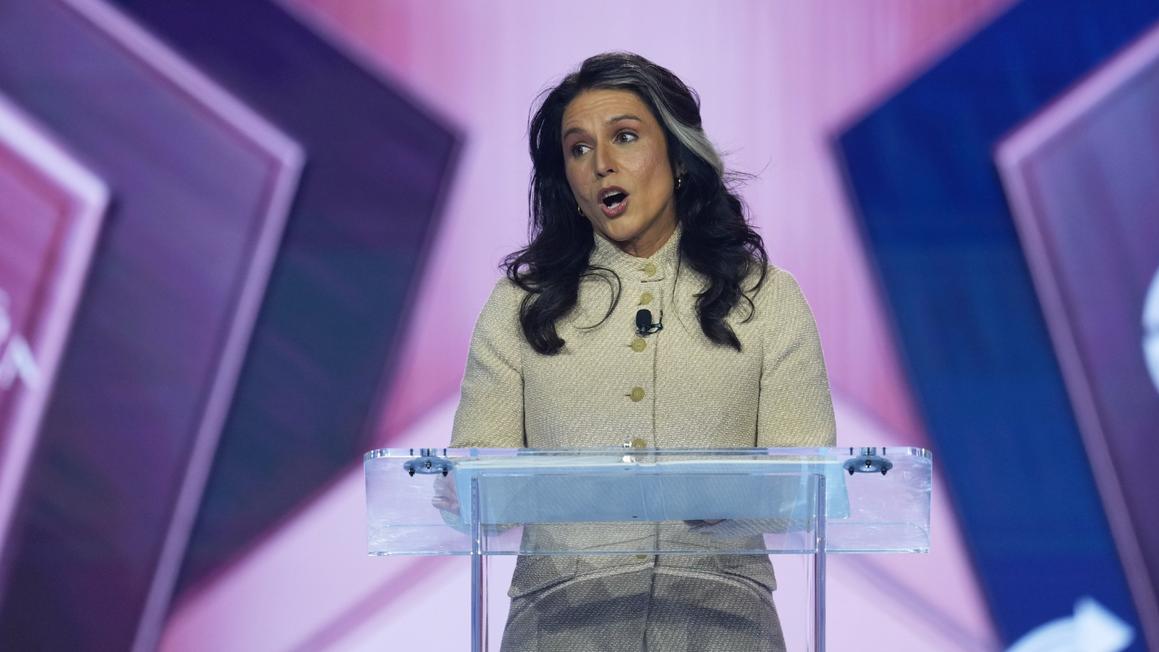 tulsi gabbard tpusa amfest