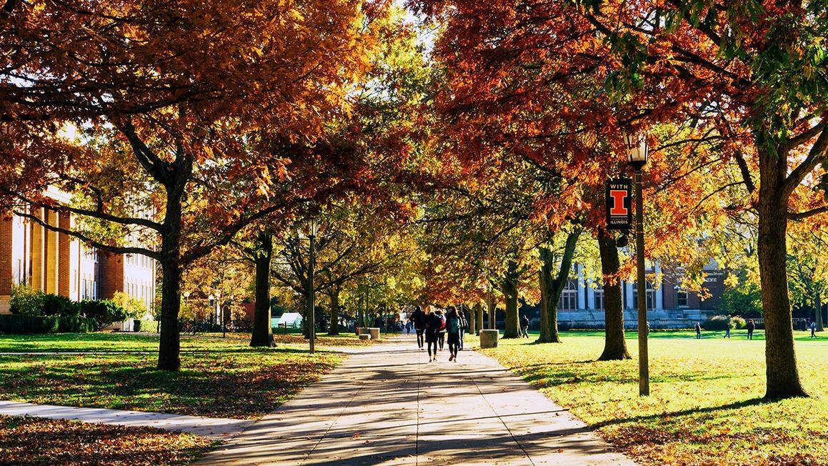 university illinois campus