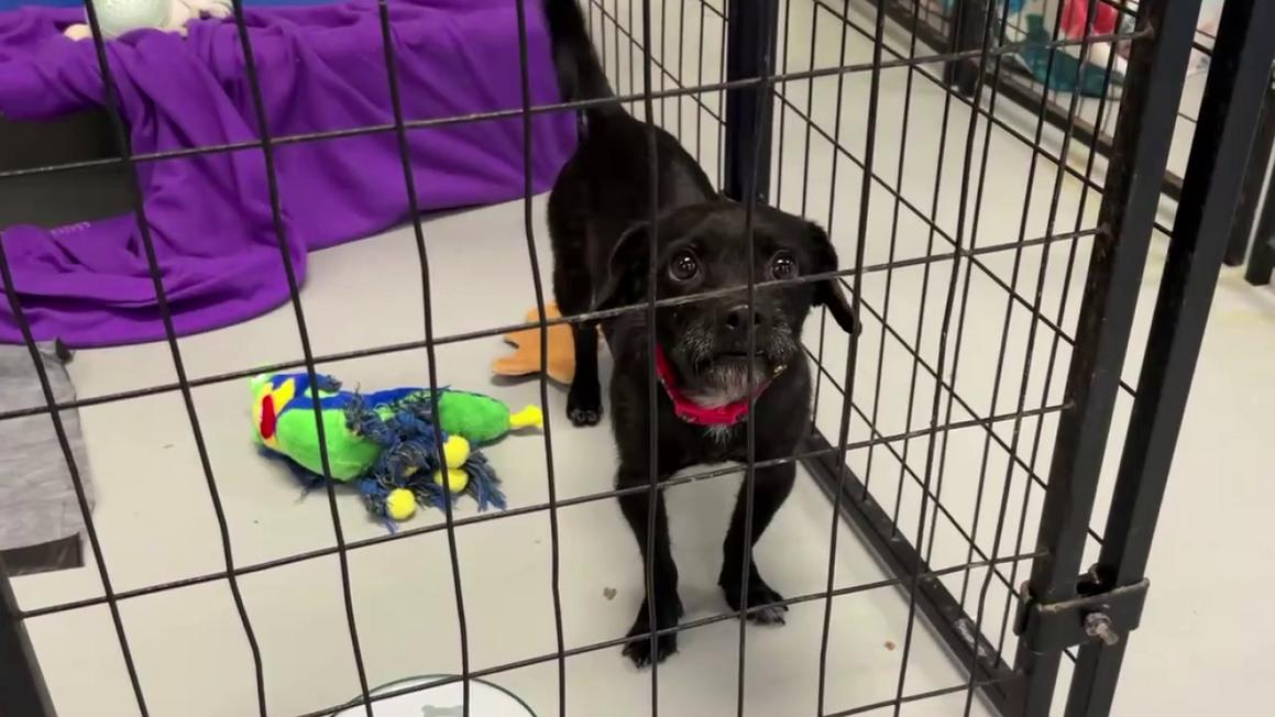 vlcsnap 2025 12 02 20h13m49s234