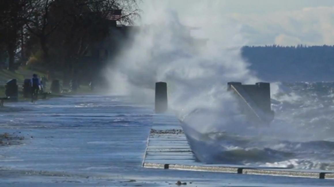 waves 5320d6a5 c075 43f2 96c5 ec1902216523