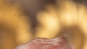 Thẩm phán ngăn cản nỗ lực của Tổng Thống Donald Trump trong việc tước quyền an ninh của luật sư