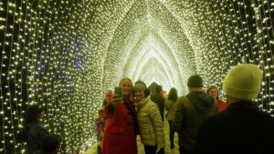 Ánh Sáng Ngày Lễ: Công Viên Golden Gate Rực Rỡ