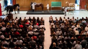 Anh Quốc Tái Gia Nhập Chương Trình Trao Đổi Sinh Viên của EU