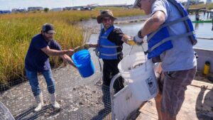 Louisiana đang bị thu hẹp, các bộ lạc bản địa nỗ lực bảo vệ cộng đồng 33 Louisiana đang bị thu hẹp, các bộ lạc bản địa nỗ lực bảo vệ cộng đồng