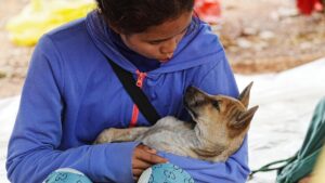 Xung đột biên giới Thái Lan - Campuchia: Bốn thường dân thiệt mạng 10 Xung đột biên giới Thái Lan – Campuchia: Bốn thường dân thiệt mạng