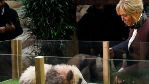 Đệ Nhất Phu Nhân Pháp Brigitte Macron Thăm Gấu Trúc Yuan Meng Ở TQ