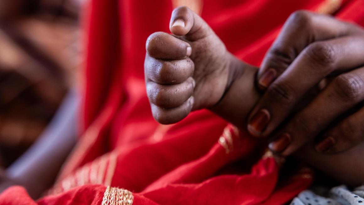 Những Điểm Chính Từ Cuộc Điều Tra Của AP Về Quân Đoàn Phi Châu Của Nga Tại Mali 1