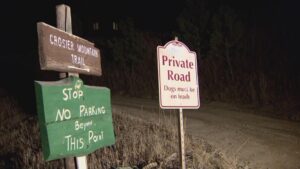 Nạn nhân bị tấn công bởi sư tử núi đã được xác định